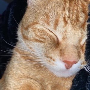 Meet your Posher, Cameron